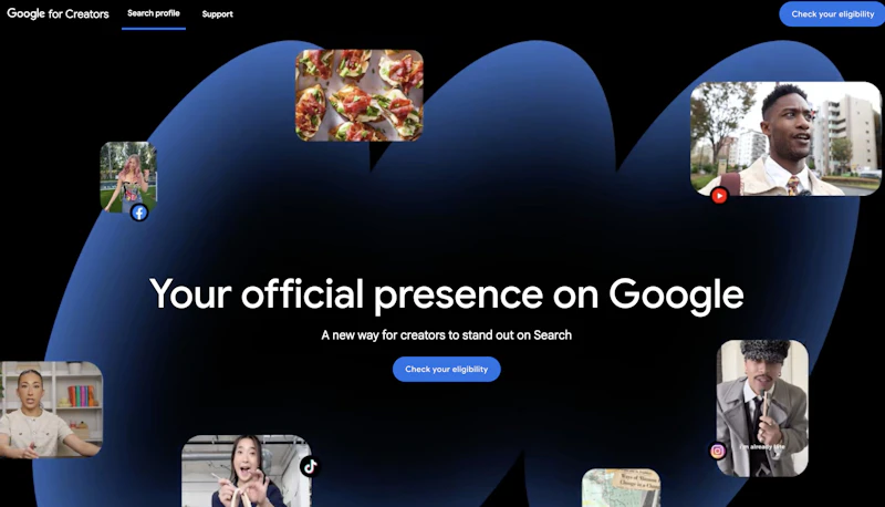 Google Search Profiles screenshot 2