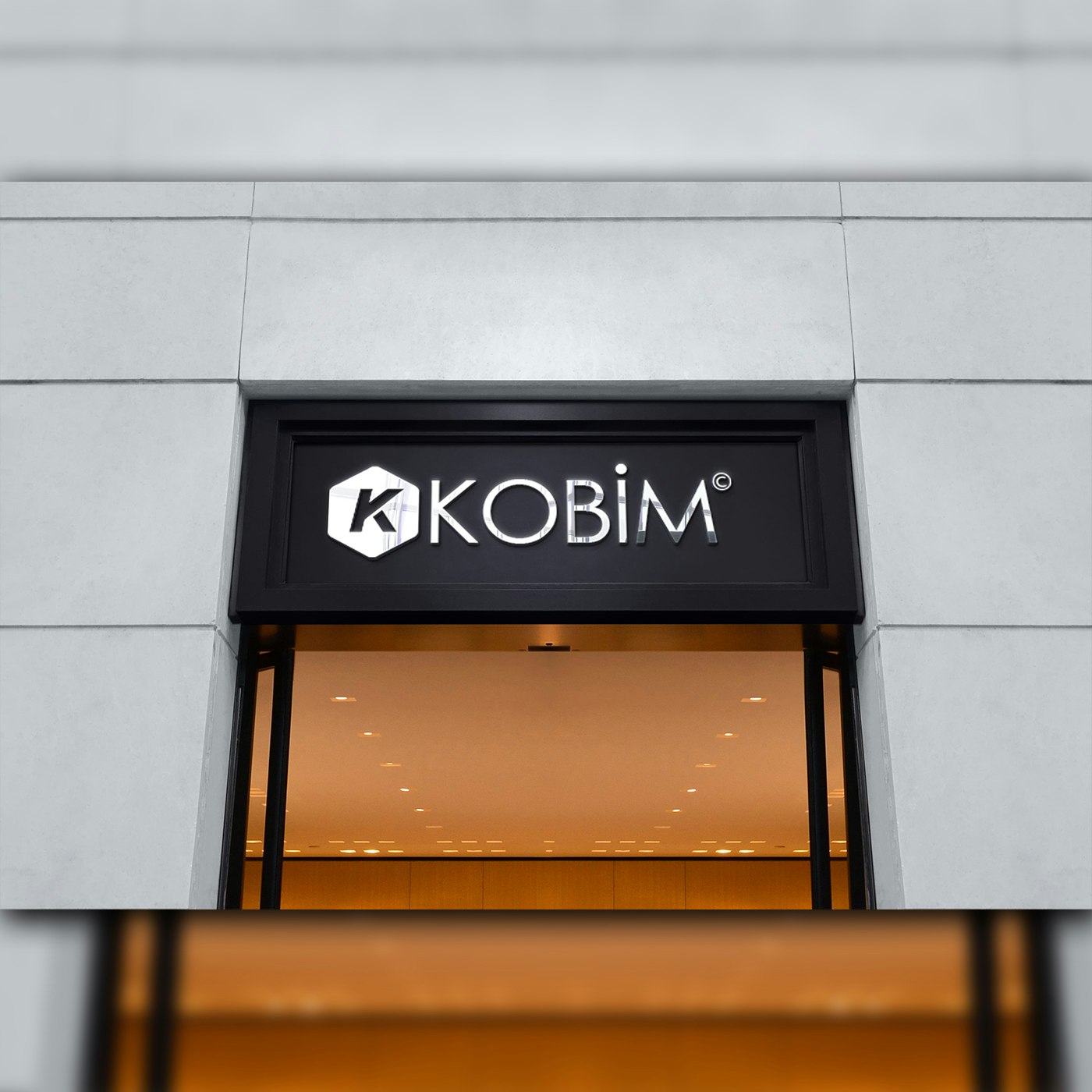 Sitio web kobim