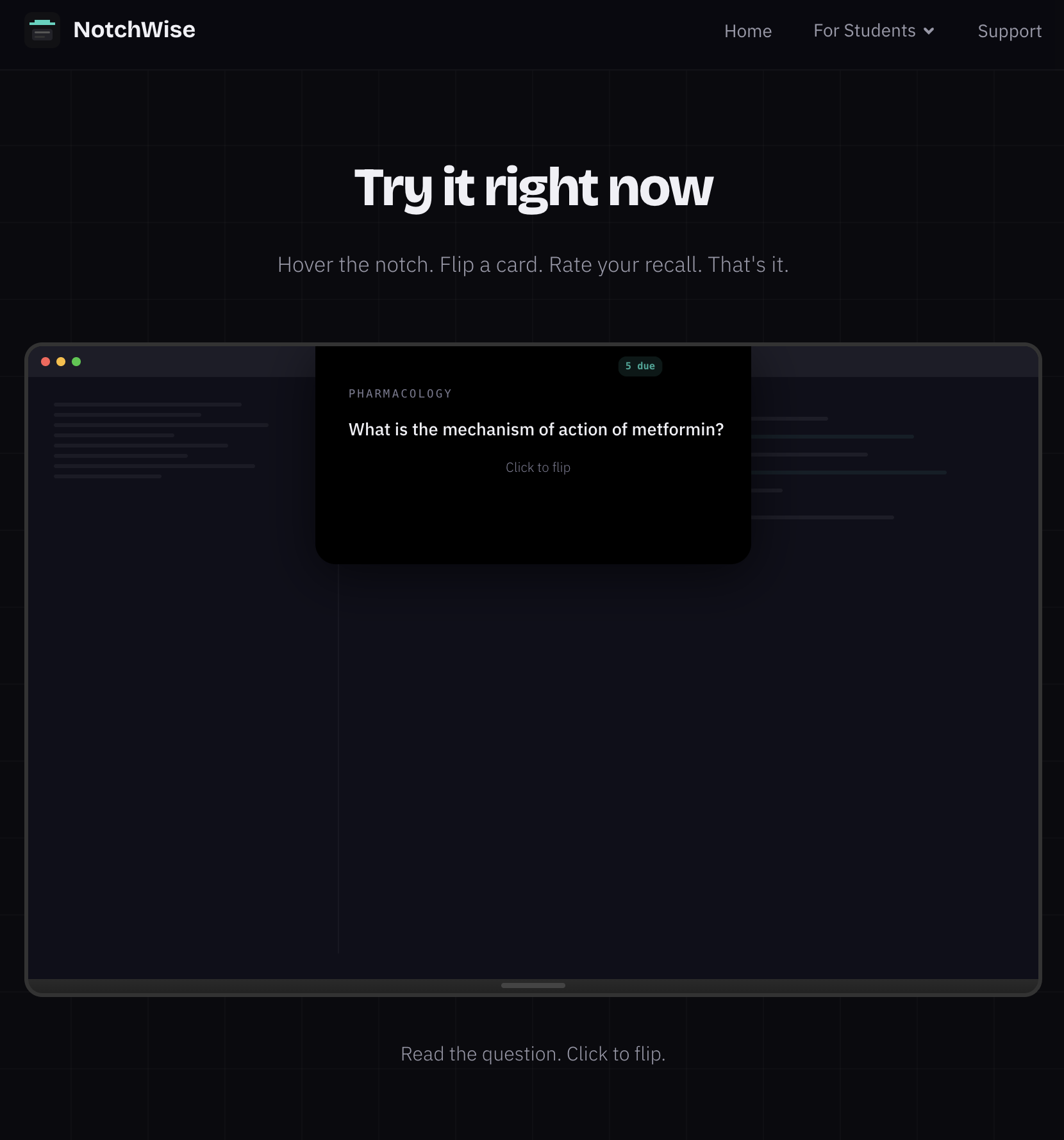 NotchWise gallery image