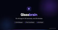 Glassbrain