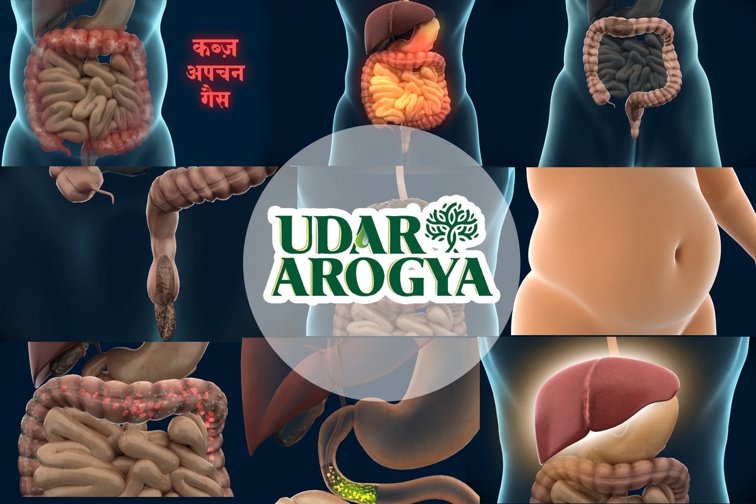 Udar Arogya media 1