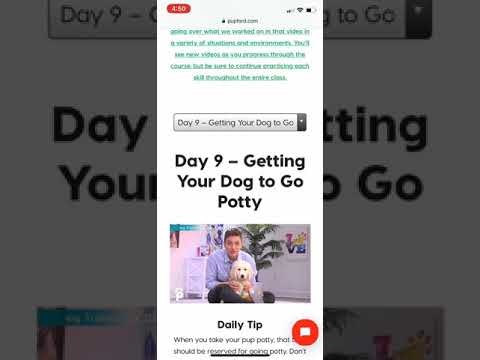 30 Day Perfect Pup with Zak George gallery image