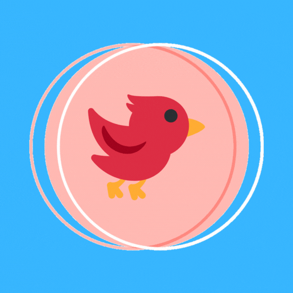 Twitter for Noobs logo