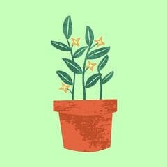 Notion Garden Planner