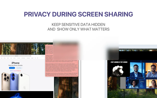 ScreenVeil screenshot 2