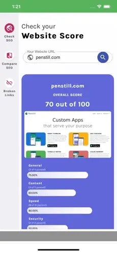 Web sitesi SEO Damin Analizörü media 1