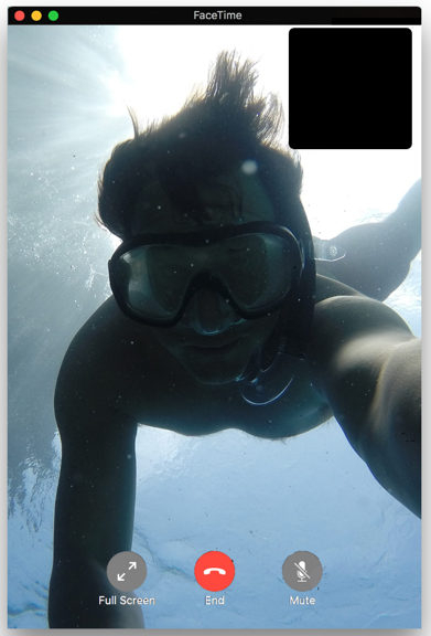 Daily Diary gallery image