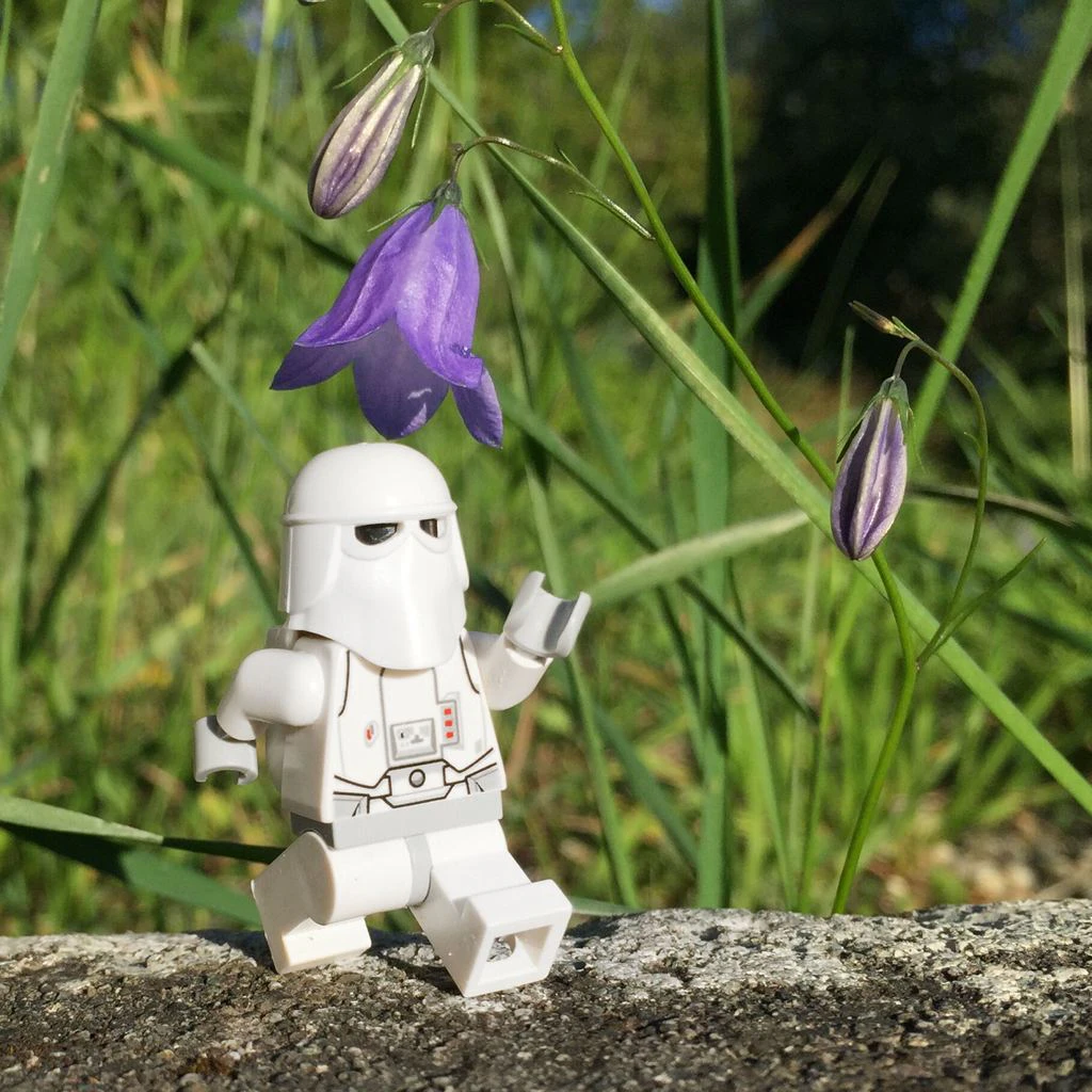 2016 Photo Challenge