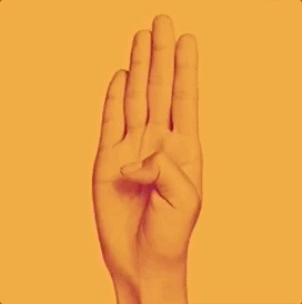 Uber Sign Language