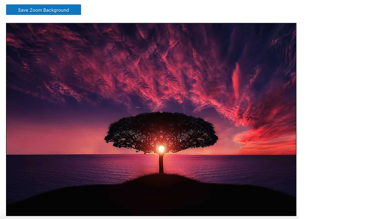 Zoom Background Maker gallery image