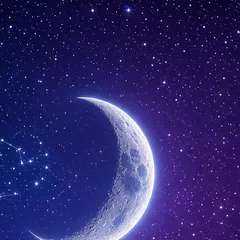 LunarLines logo