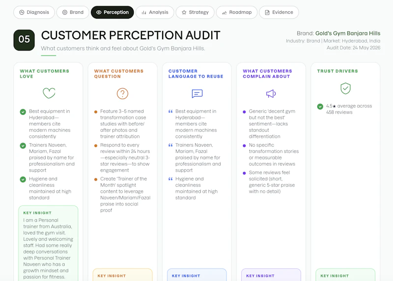 Brand Audit screenshot 6