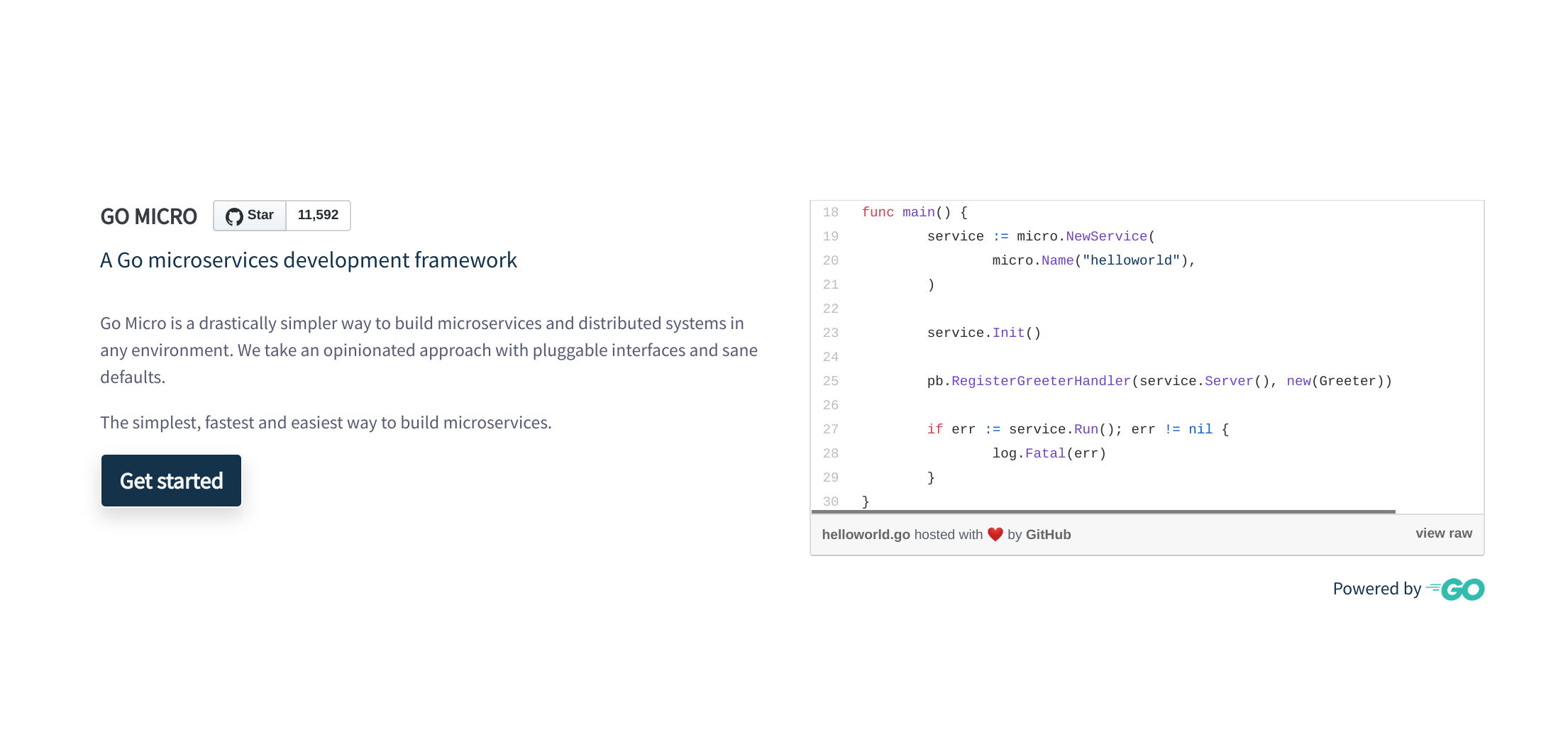 Go Micro gallery image