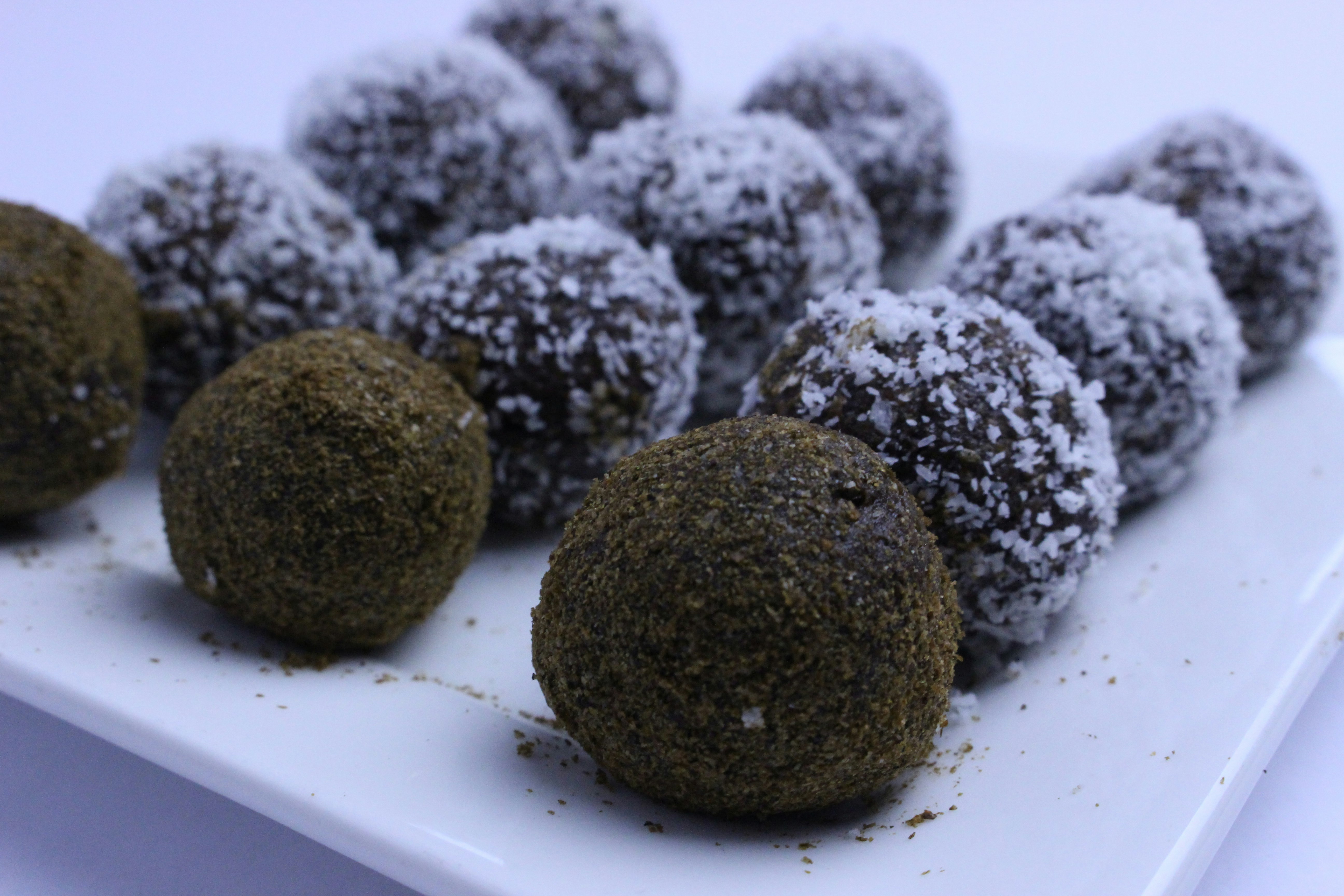 Catch-your-bug gallery image