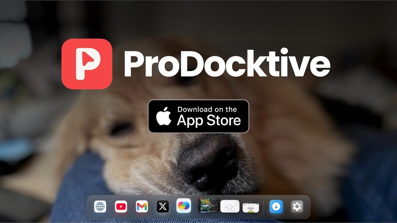 ProDocktive gallery image