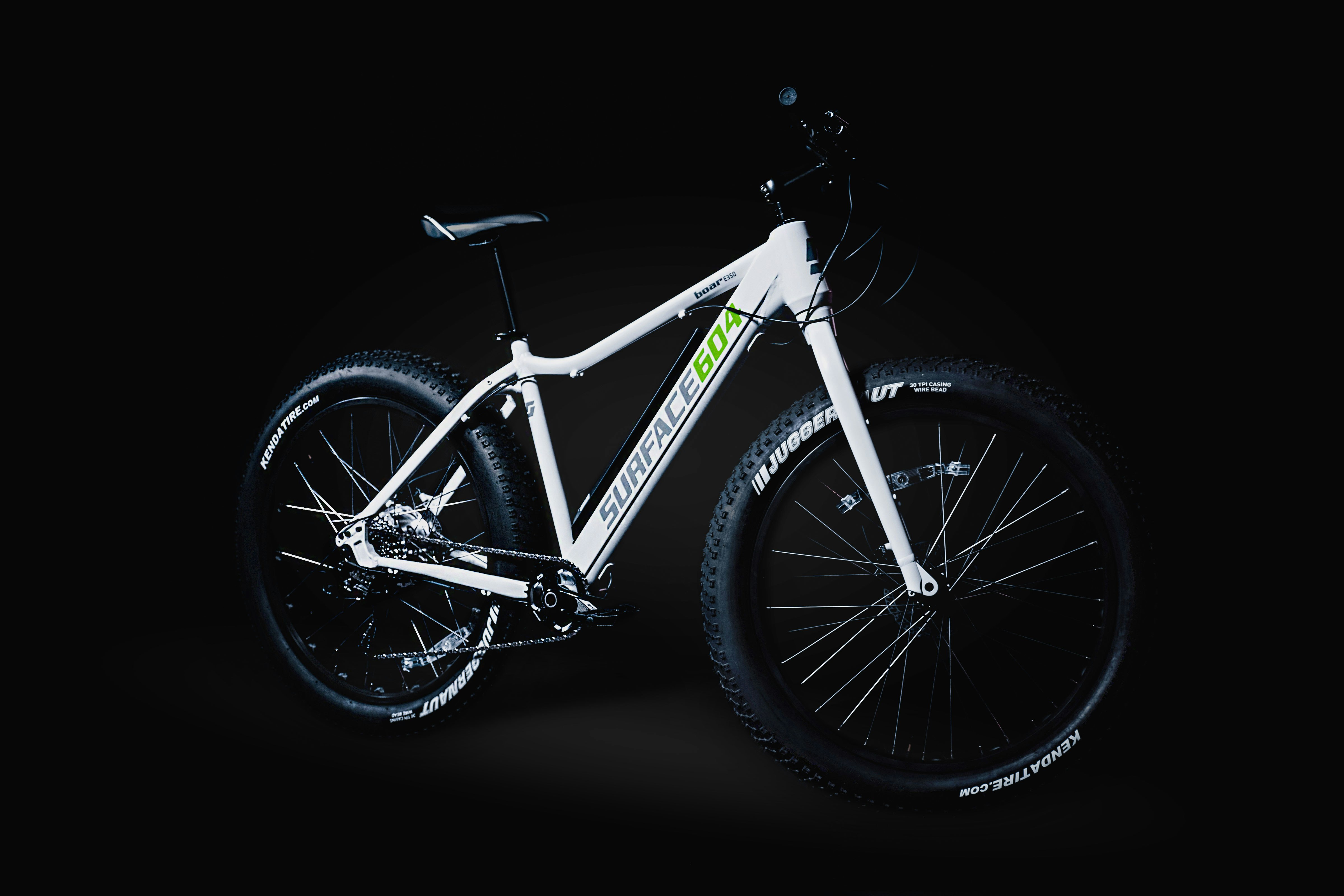 The Boar 2016 Electric Fat Bike