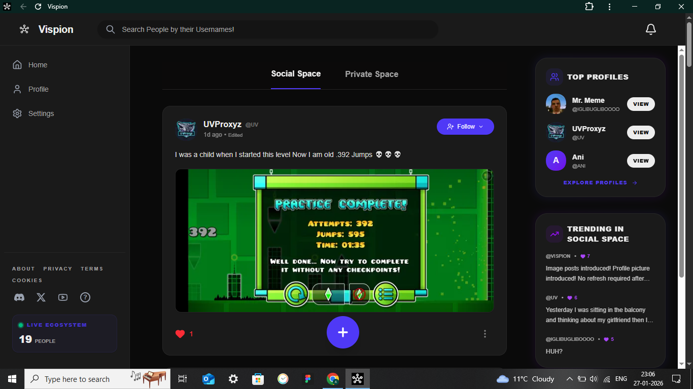 Vispion gallery image