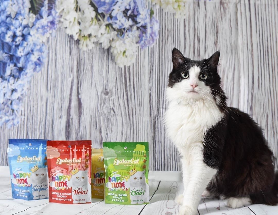 The Woof Agency gallery image