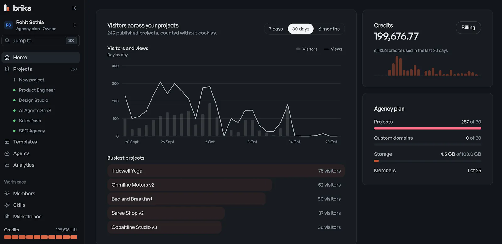 Briks screenshot 1