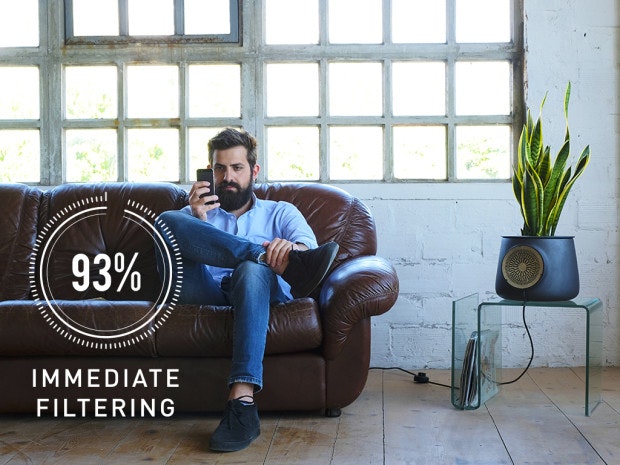 Clairy gallery image