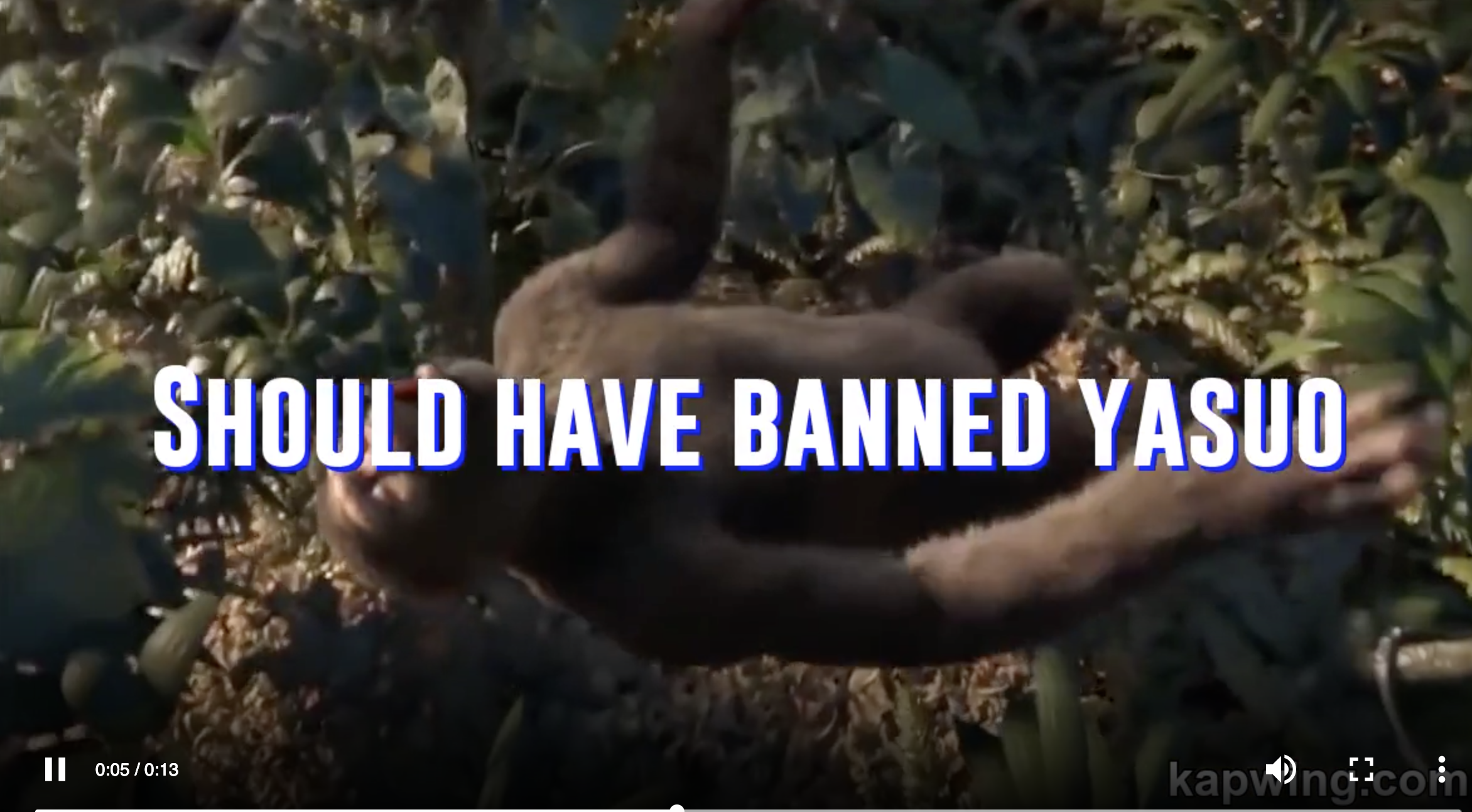 GG. Bonobo Team! gallery image