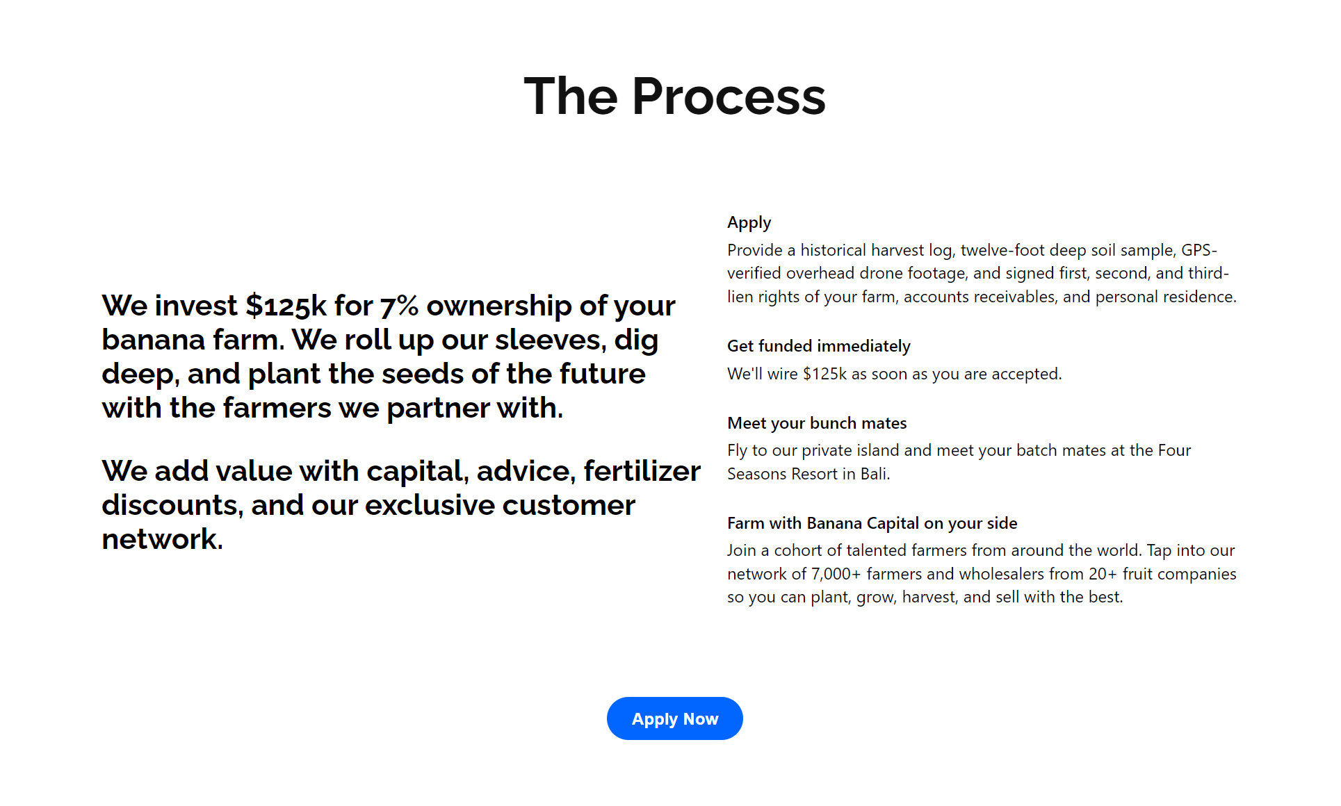 Banana Capital Accelerator gallery image