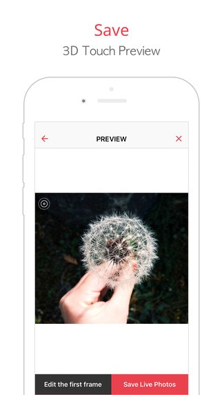 intoLive gallery image