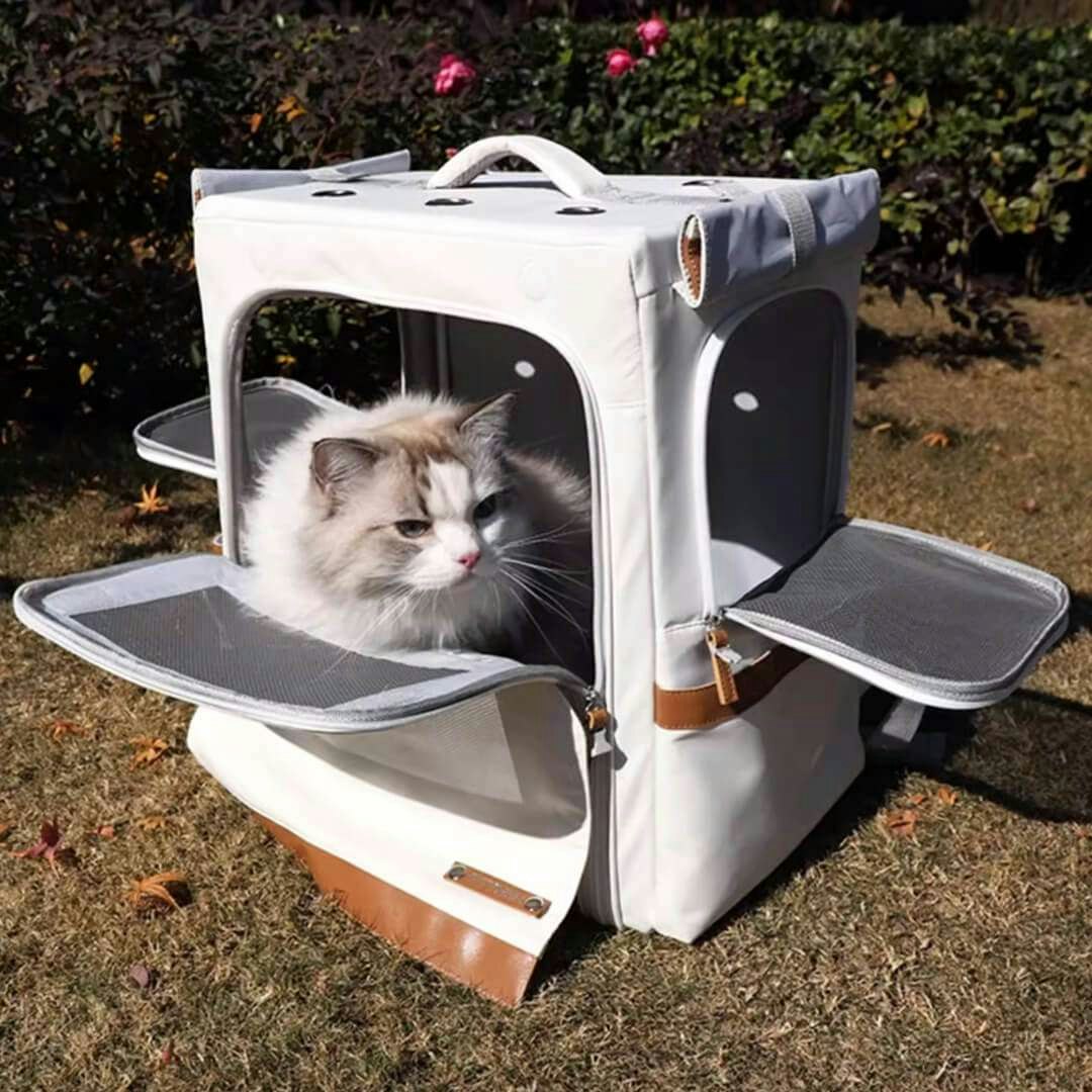 Everbliss Cat Store media 1