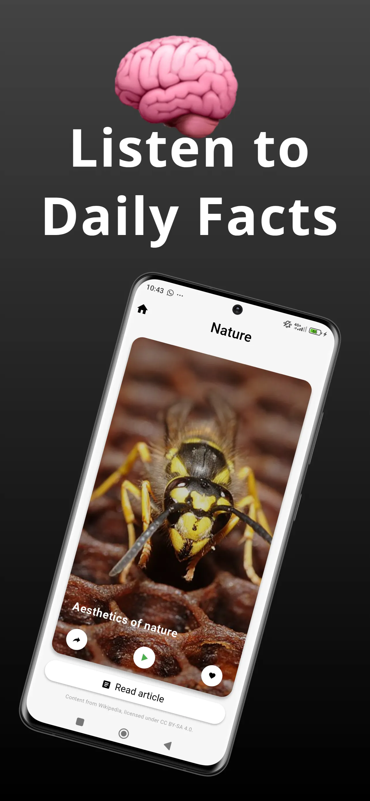 WikiReel - Wikipedia Meets Tiktok gallery image