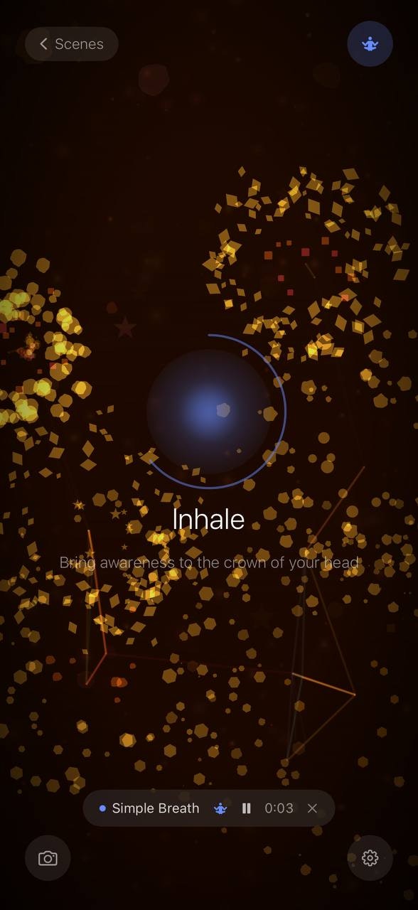 Scenes - Mindful Moments - Screenshot 2 showing product features and functionality