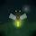 Keep on Fire — Night Flight Survival