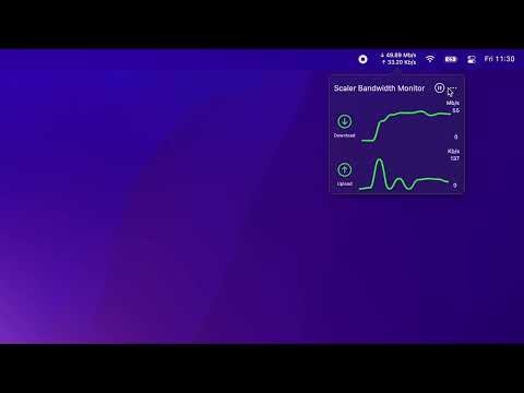 Scaler Bandwidth Monitor gallery image