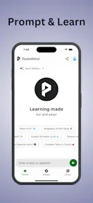 PocketMind