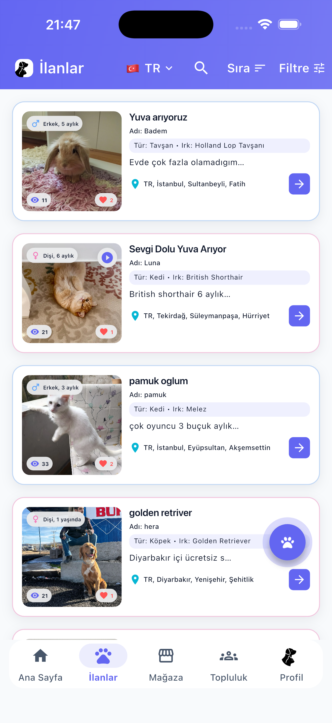 Can Dostun gallery image