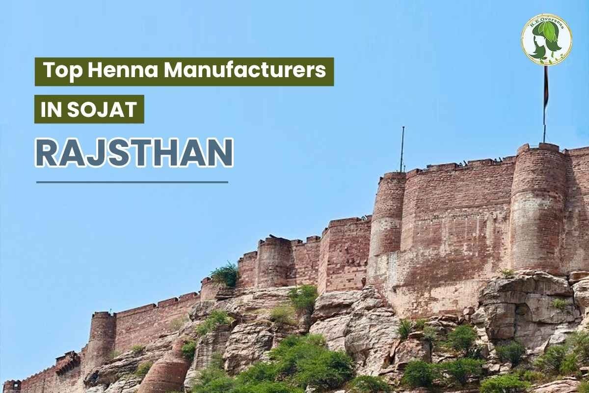 Kirpal Export Overseas - Main product screenshot demonstrating key features and user interface