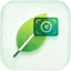 Plantid