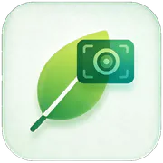 Plantid logo
