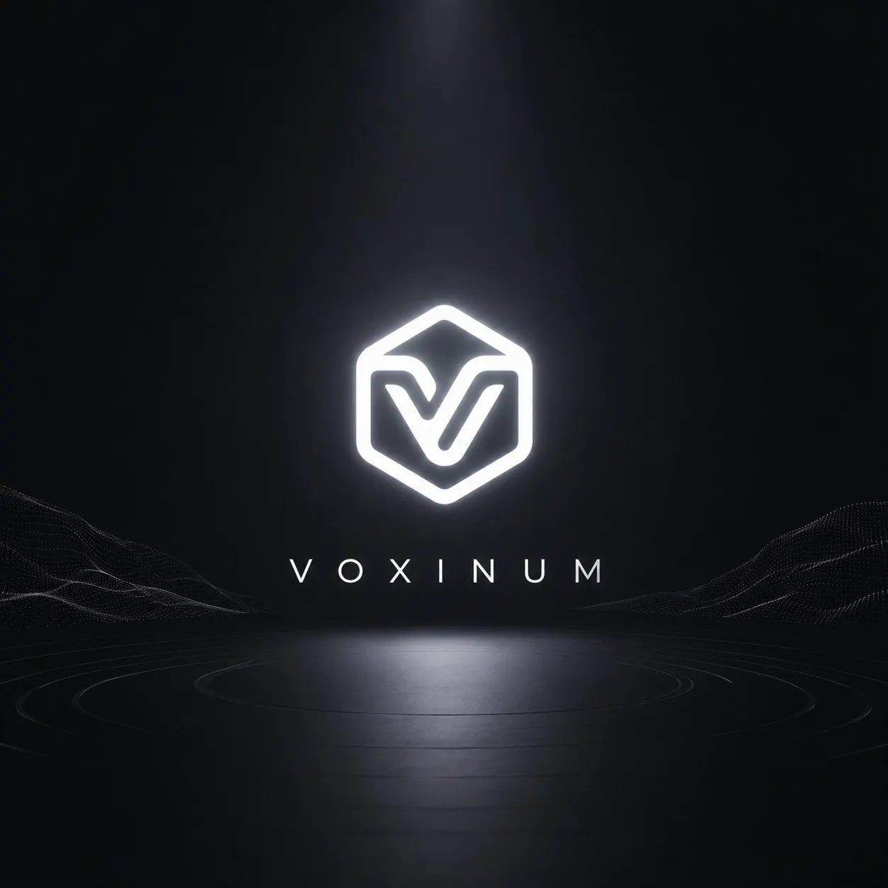 VOXINUM gallery image