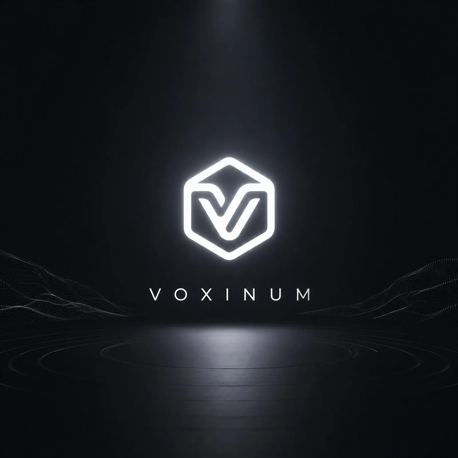 VOXINUM screenshot 2