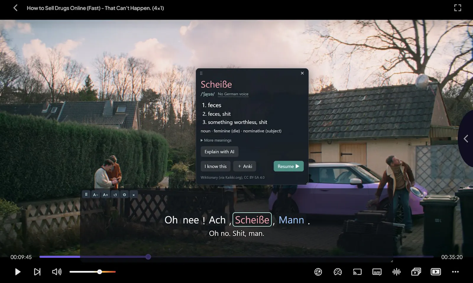 Polyglot Subs screenshot 4