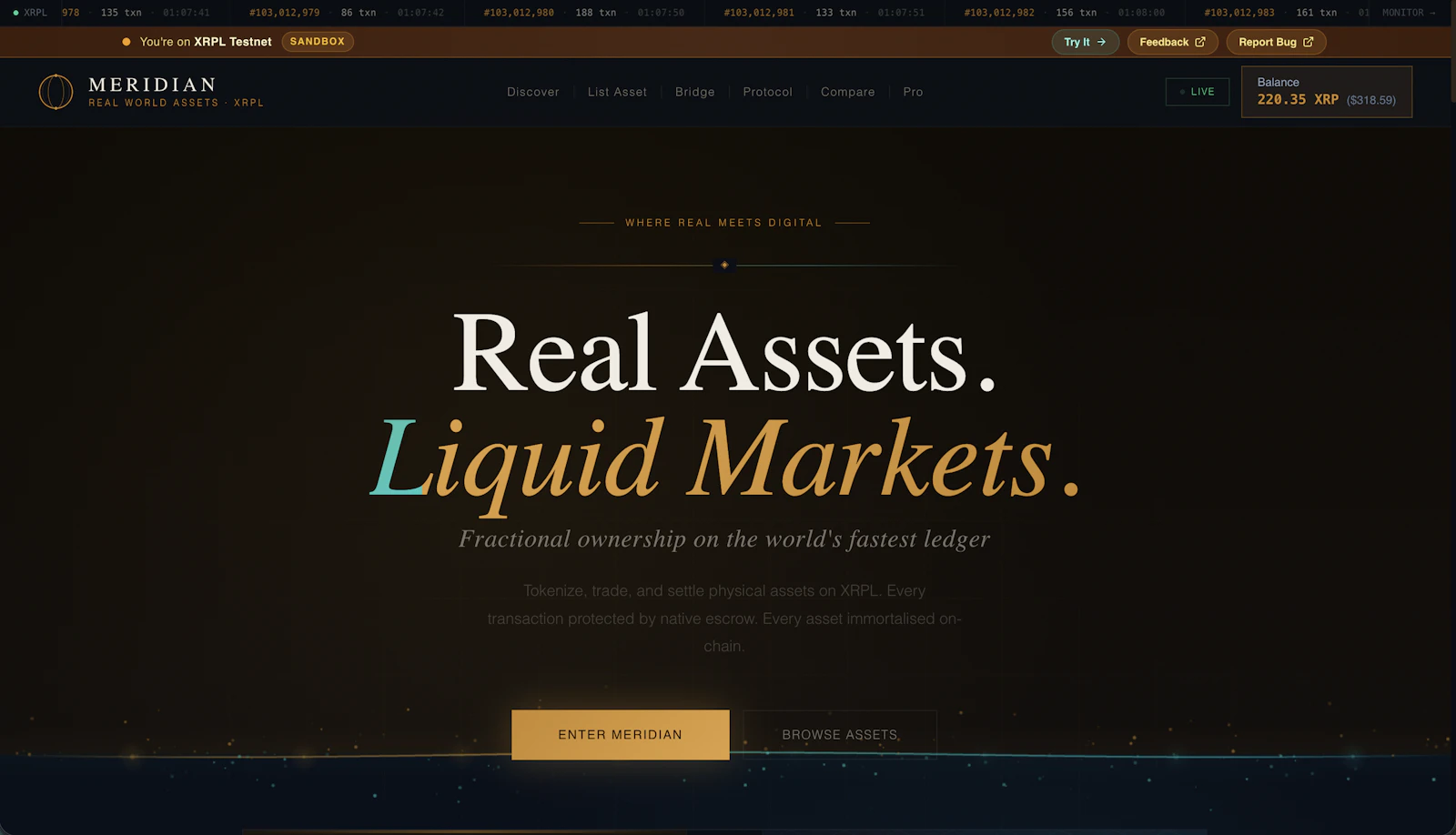Meridian Market screenshot 1