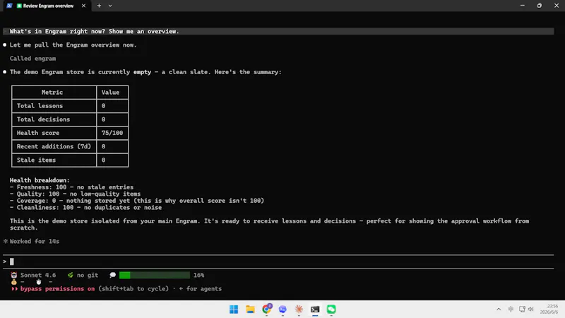 Piia Engram screenshot 3