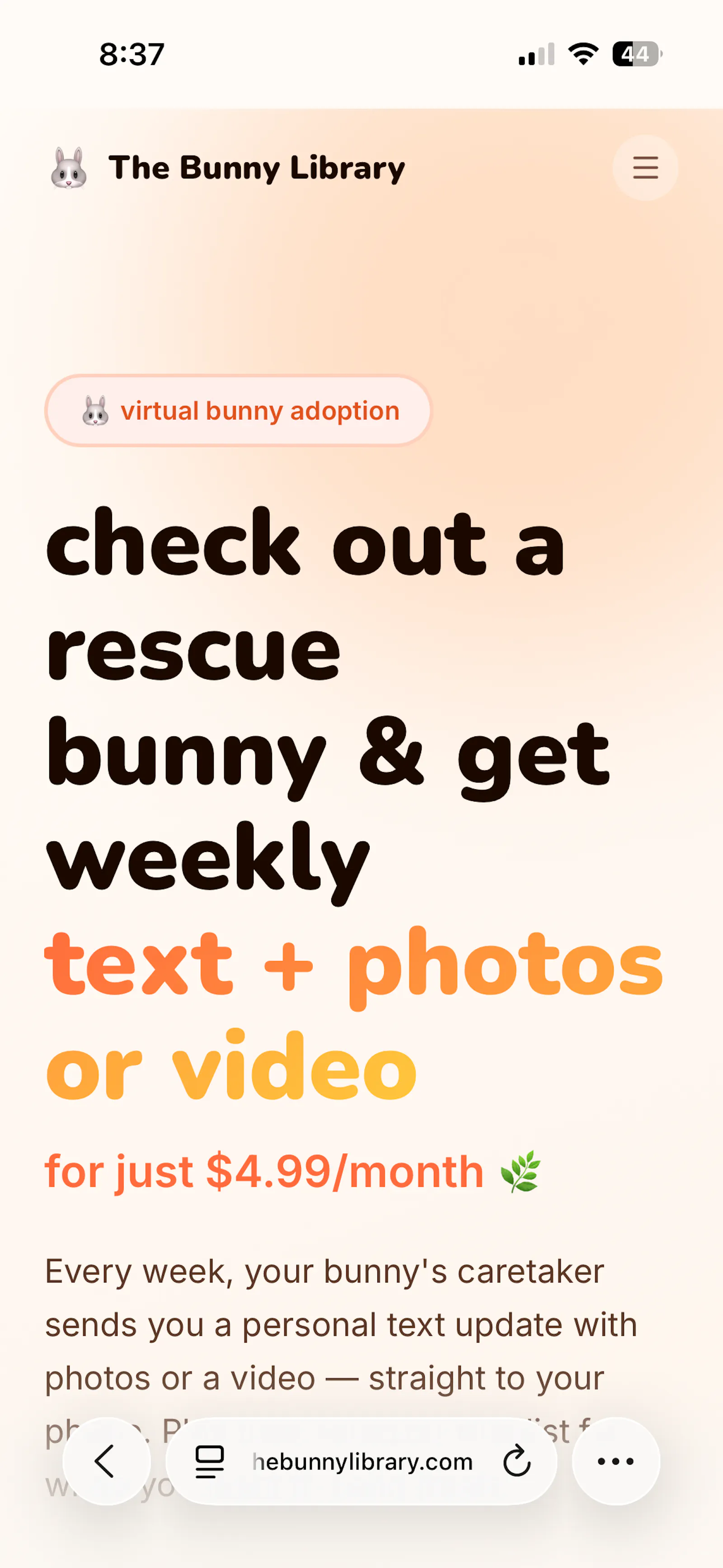 The Bunny Library  screenshot 3