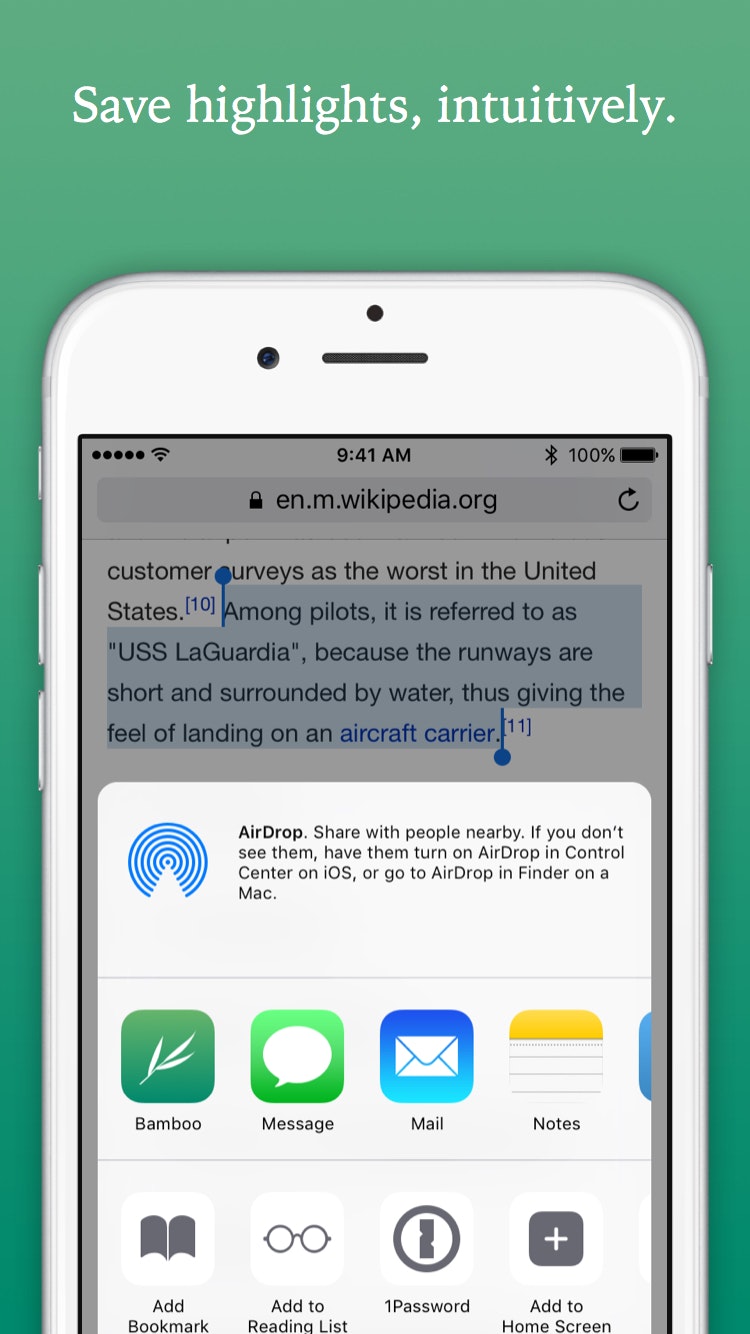 Bamboo gallery image