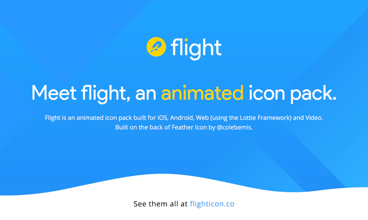Flight Icons Image