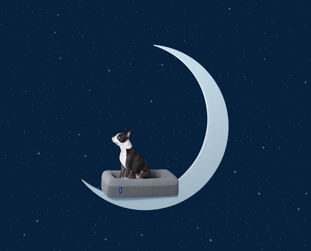 Casper Dog Mattress gallery image