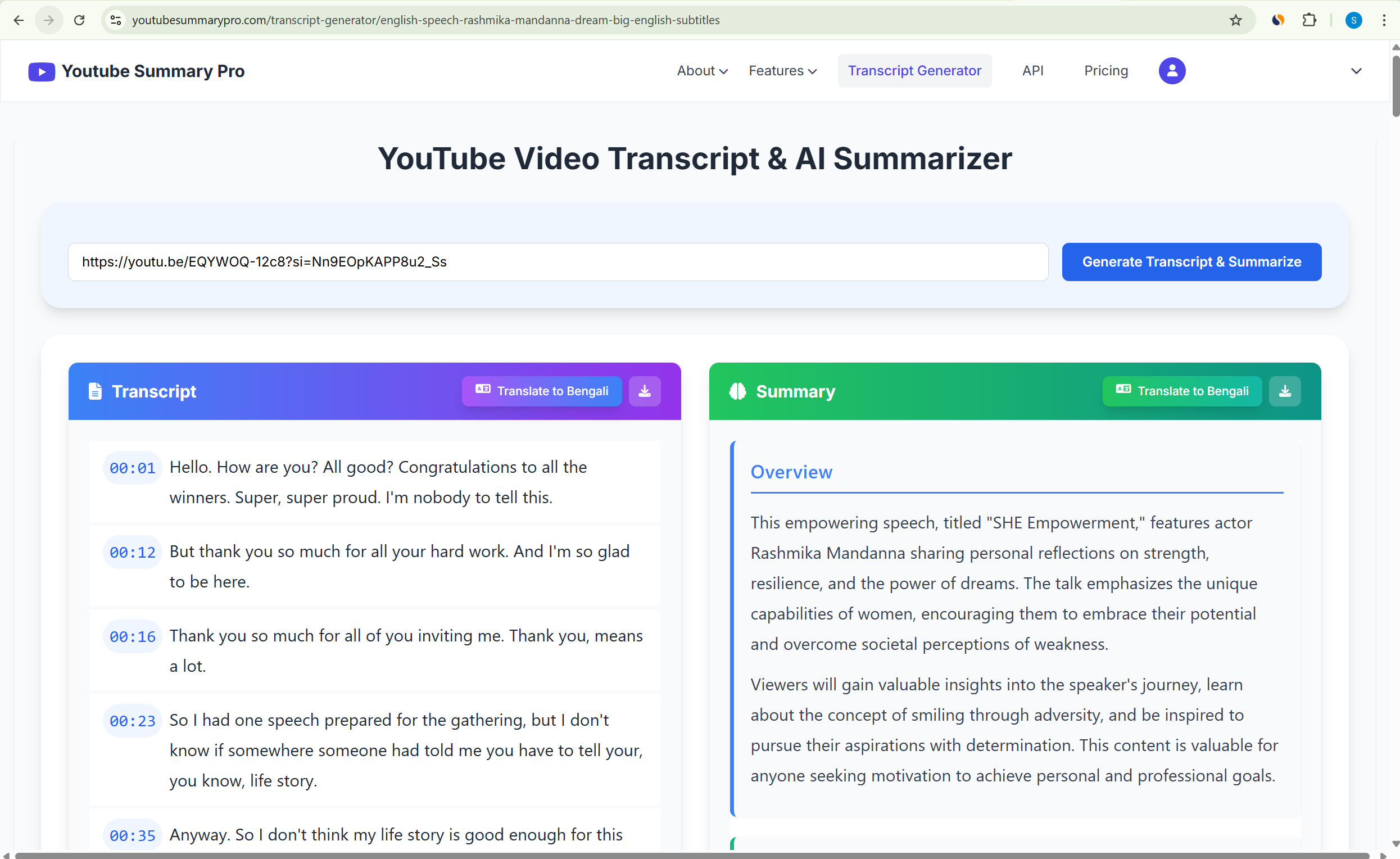 Youtube Summary Pro gallery image