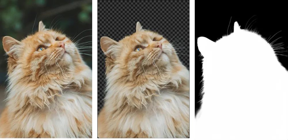 withoutBG API gallery image