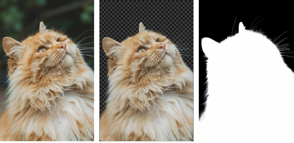 withoutBG - Screenshot 3 preview