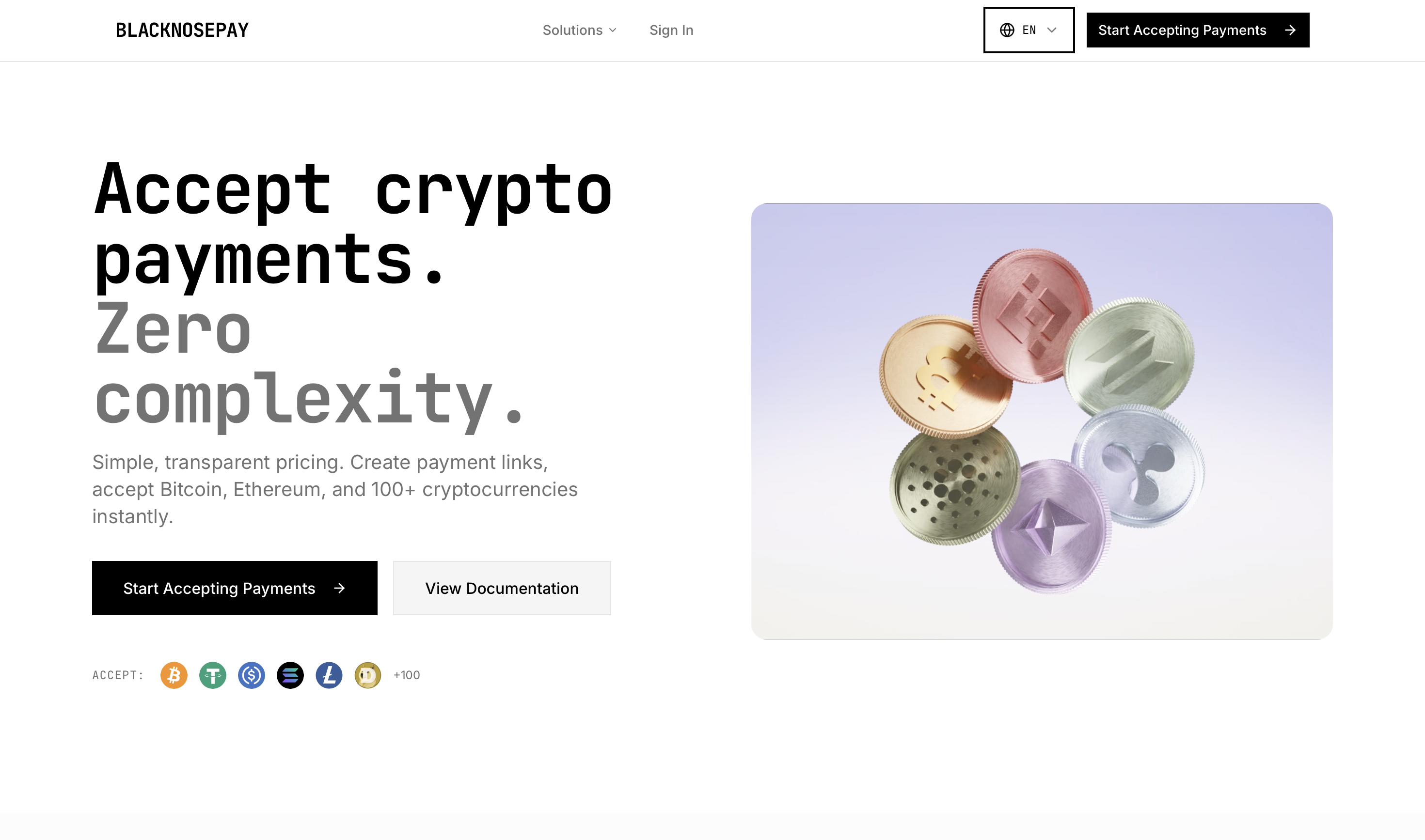 BlackNosePay gallery image